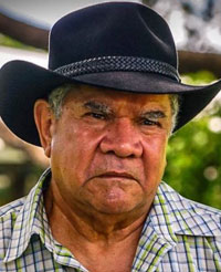 Aboriginal activist Mick Dodson